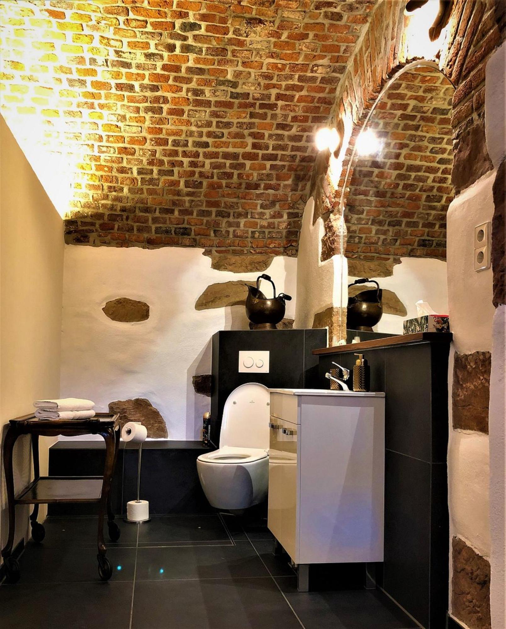 Historical Luxury Homes - Stadtvilla Mit Jacuzzi Und Garten Freiburg im Breisgau Exterior foto